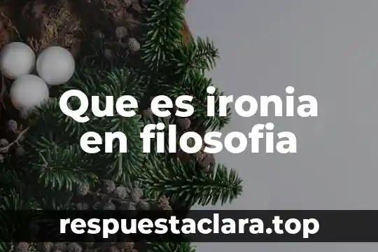 Que es ironia en filosofia