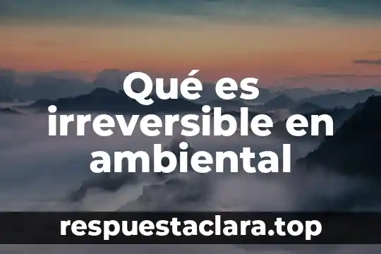 Qué es irreversible en ambiental