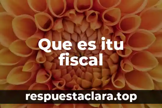 Que es itu fiscal