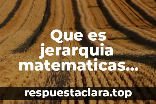 Que es jerarquia matematicas ejemplos
