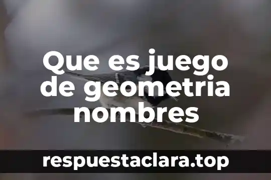 Nombres de cuerpos geométricos y que es vértice 3 Que es juego de geometria nombres