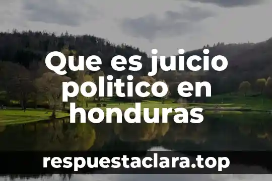 Que es el marco fisico de un proyecto 8 Que es juicio politico en honduras