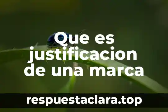 Que es justificacion de una marca