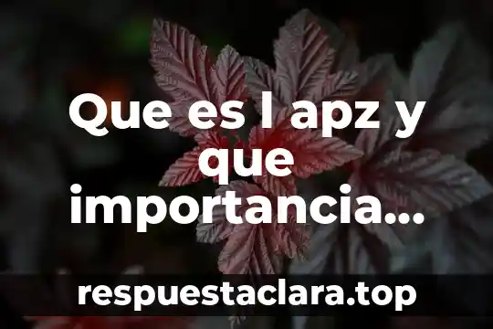 Que es l apz y que importancia tiene