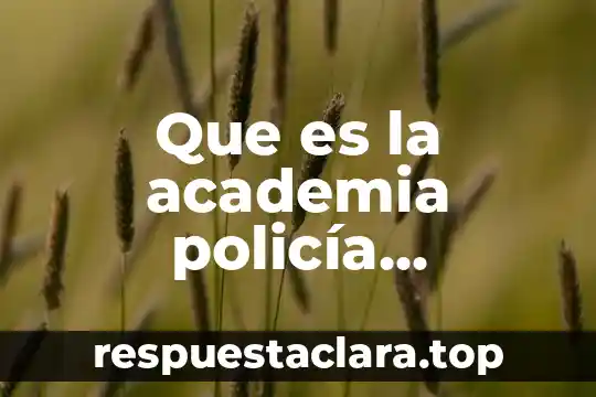 Que es arte diccionario real academia española 3 Que es la academia policía concepto