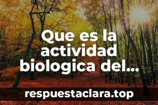 Que es la actividad biologica del suelo