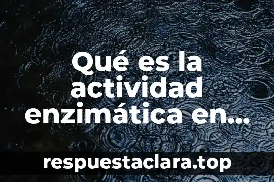 Qué es la actividad enzimática en los alimentos