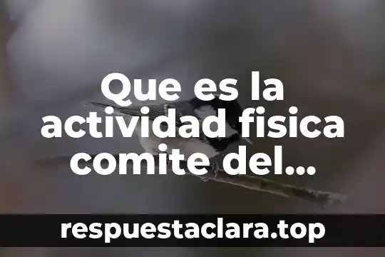 Que es sonido definición de física 3 Que es la actividad fisica comite del deportiva