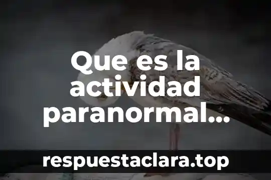 Que es la actividad paranormal falso