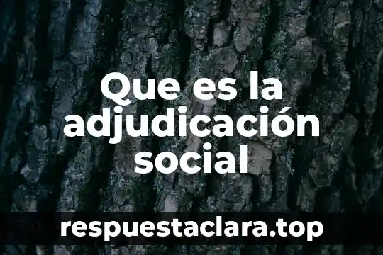 Que es la adjudicación social