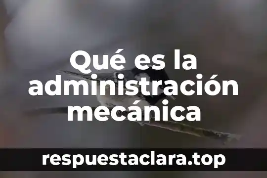 Qué es la administración mecánica