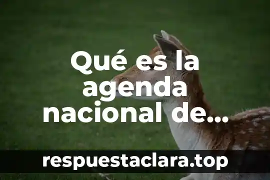 Que es significa nacional 8 Qué es la agenda nacional de innovación comecyt