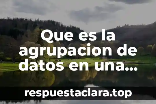 Que es la agrupacion de datos en una investigacion