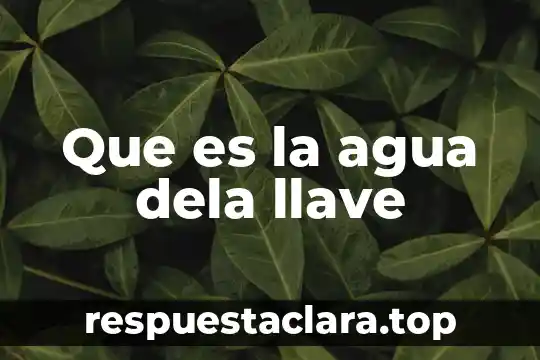 Que es la agua dela llave