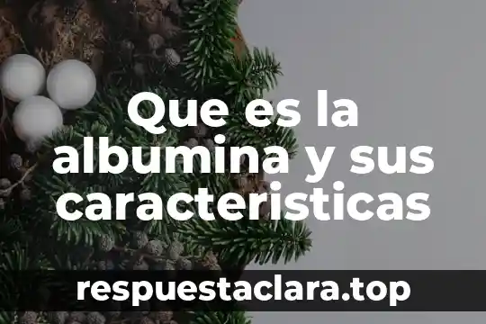 Que es la albumina y sus caracteristicas