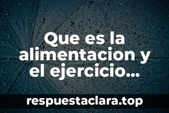 Qué es alimentación saludable definición 4 Que es la alimentacion y el ejercicio saludable