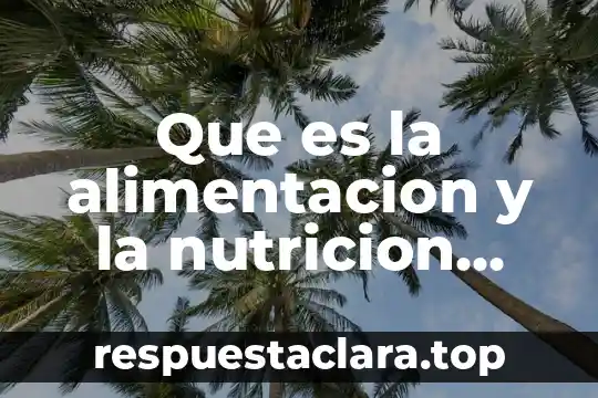 Qué es absorción en nutrición animal 5 Que es la alimentacion y la nutricion yahoo