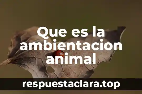 Que es la ambientacion animal