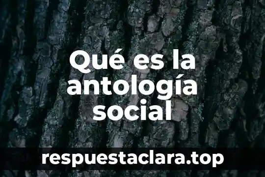 Que es in movimiento social 6 Qué es la antología social