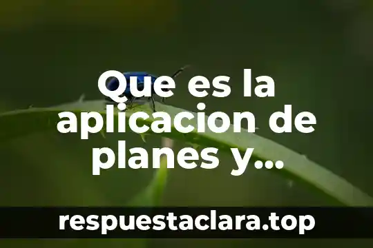 Que es la aplicacion de planes y programas de estudio