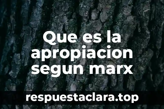 Que es la apropiacion segun marx