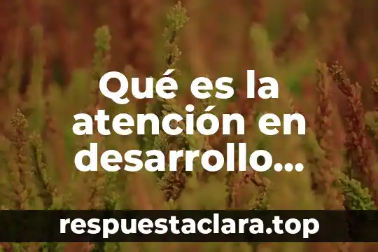 Qué es la atención en desarrollo humano
