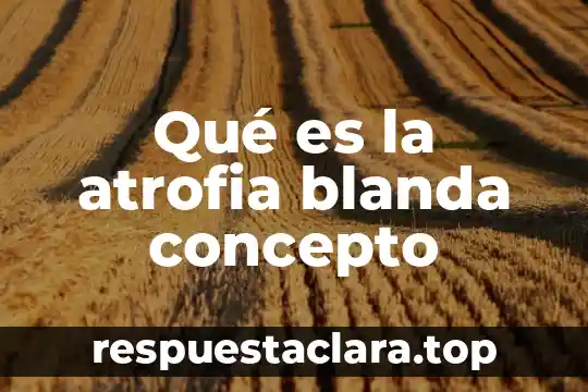 Que es un derecho concepto para niños 3 Qué es la atrofia blanda concepto