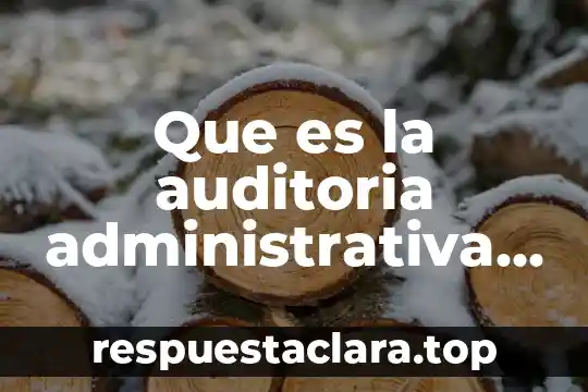 Qué es objetivos de auditoria de sistema 5 Que es la auditoria administrativa en mexico