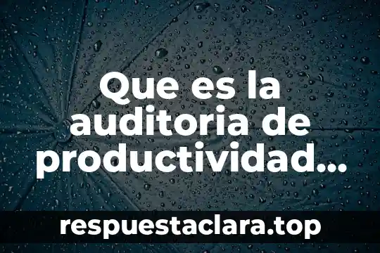 Que es la productividad odf 5 Que es la auditoria de productividad y control