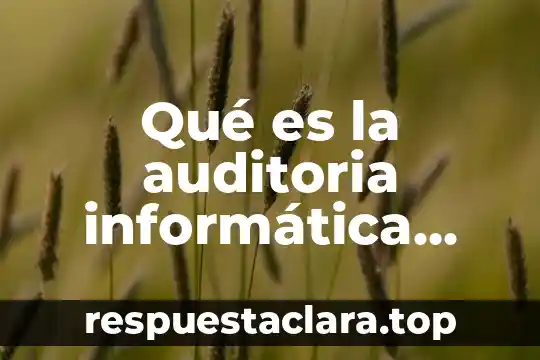 Qué es la auditoria informática ejemplo