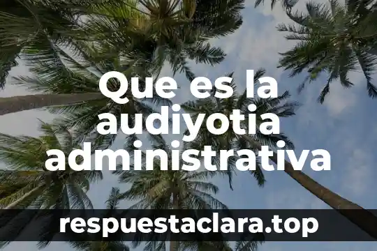 Que es la audiyotia administrativa