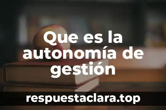 Que es la autonomía de gestión