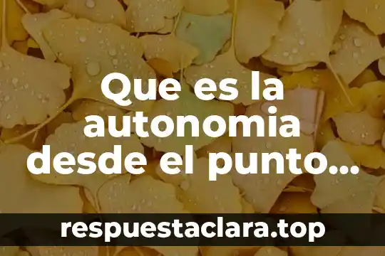 Que es la autonomia desde el punto de vista etico