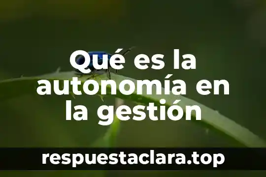 Qué es la autonomía en la gestión