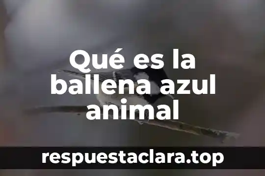 Qué es mejor Animal Stak o M Stak 4 Qué es la ballena azul animal