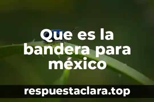 Que es la bandera para méxico