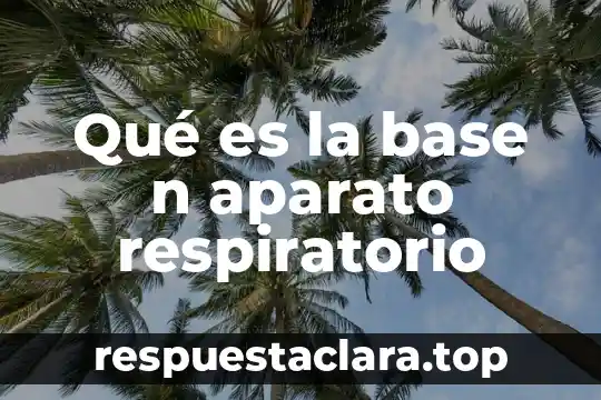 Miosis celula n animal que es 3 Qué es la base n aparato respiratorio
