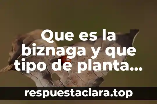 Qué es una planta acalina 3 Que es la biznaga y que tipo de planta es