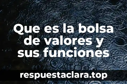 Que es la bolsa de valores historia 4 Que es la bolsa de valores y sus funciones