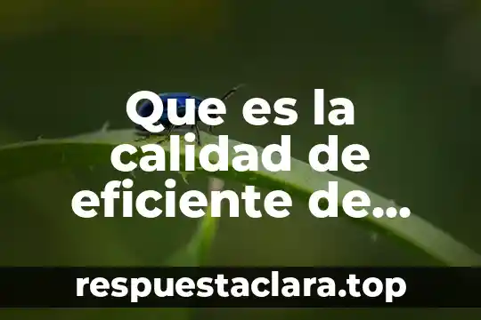 Que es la calidad de eficiente de produccion
