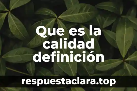 Que es la calidad definición