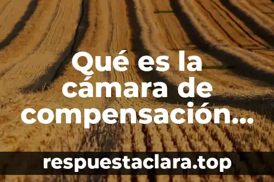 Qué es la cámara de compensación electrónica Banesco