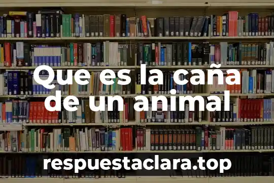 Que es la clonacion animal 8 Que es la caña de un animal