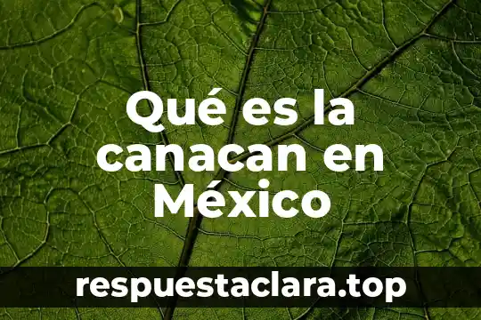 Que es el porgrama todos somos mexico 3 Qué es la canacan en México