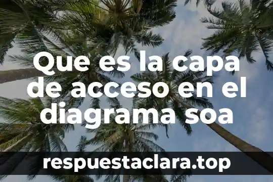 Que es la capa de acceso en el diagrama soa