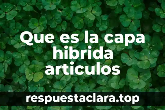 Que es la capa hibrida articulos