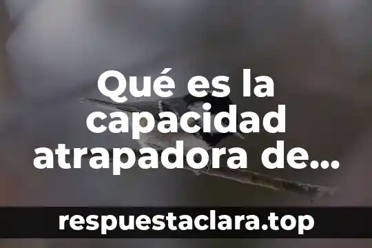 Qué es la capacidad atrapadora de electrones