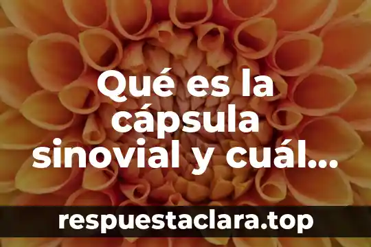 Qué es la cápsula sinovial y cuál es su función