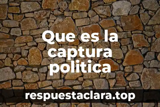 Que es la captura politica
