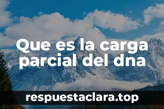 Que es la carga parcial del dna